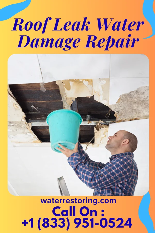 Roof Leak Water Damage Repair in Kinsley, KS