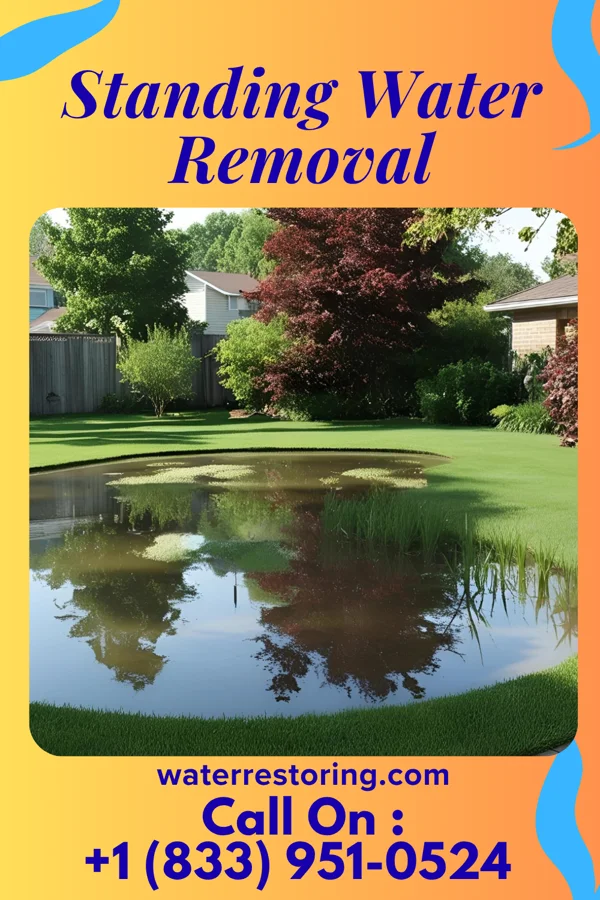Standing Water Removal in Kinsley, KS